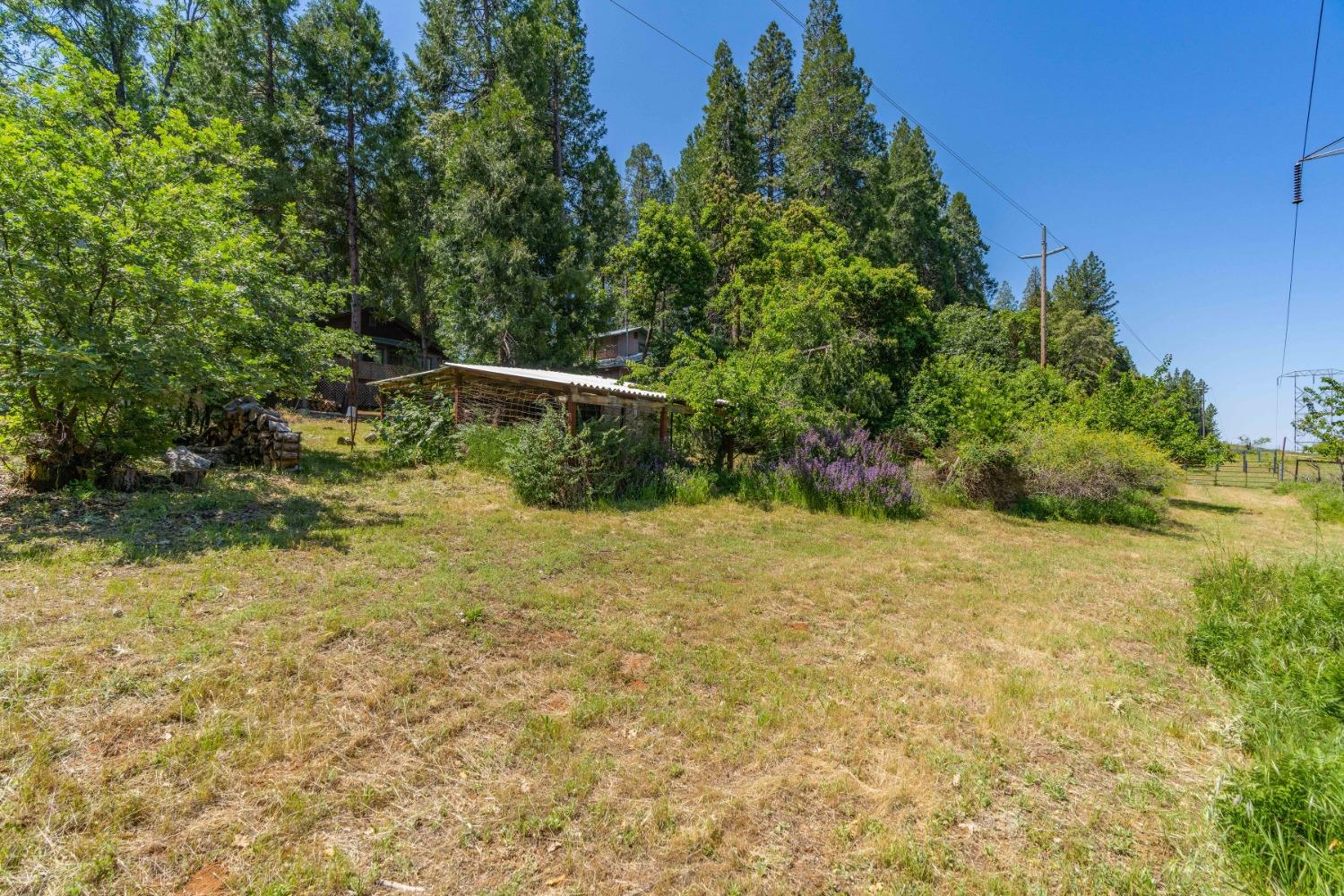 Williams Road, Pioneer, California image 23