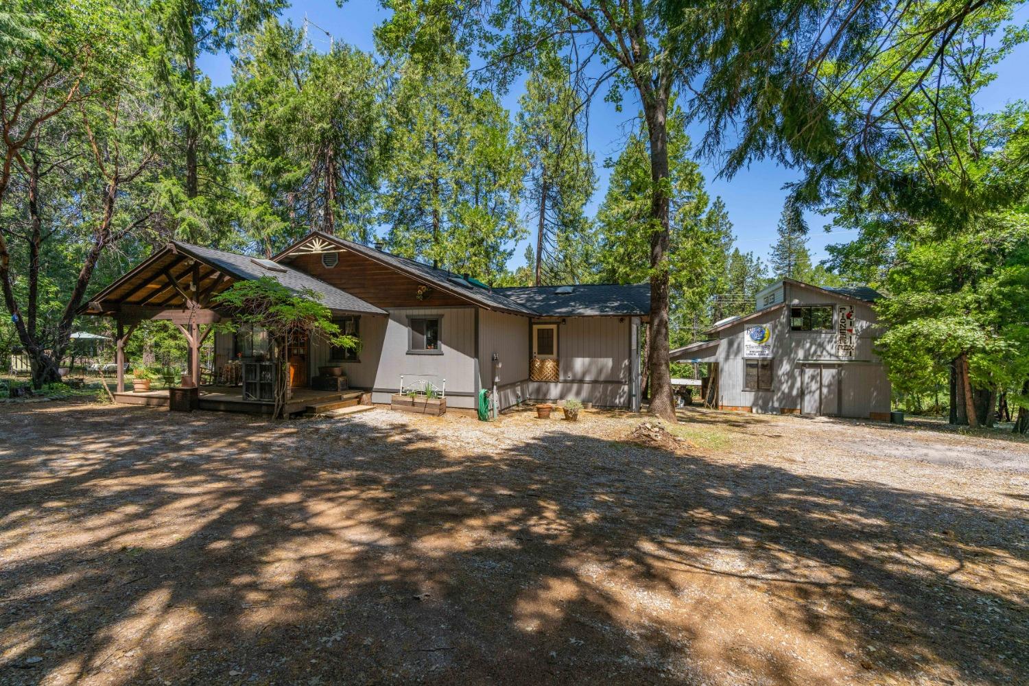 Williams Road, Pioneer, California image 9