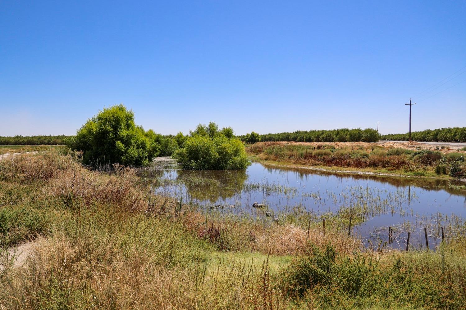 Road 9, Firebaugh, California image 14