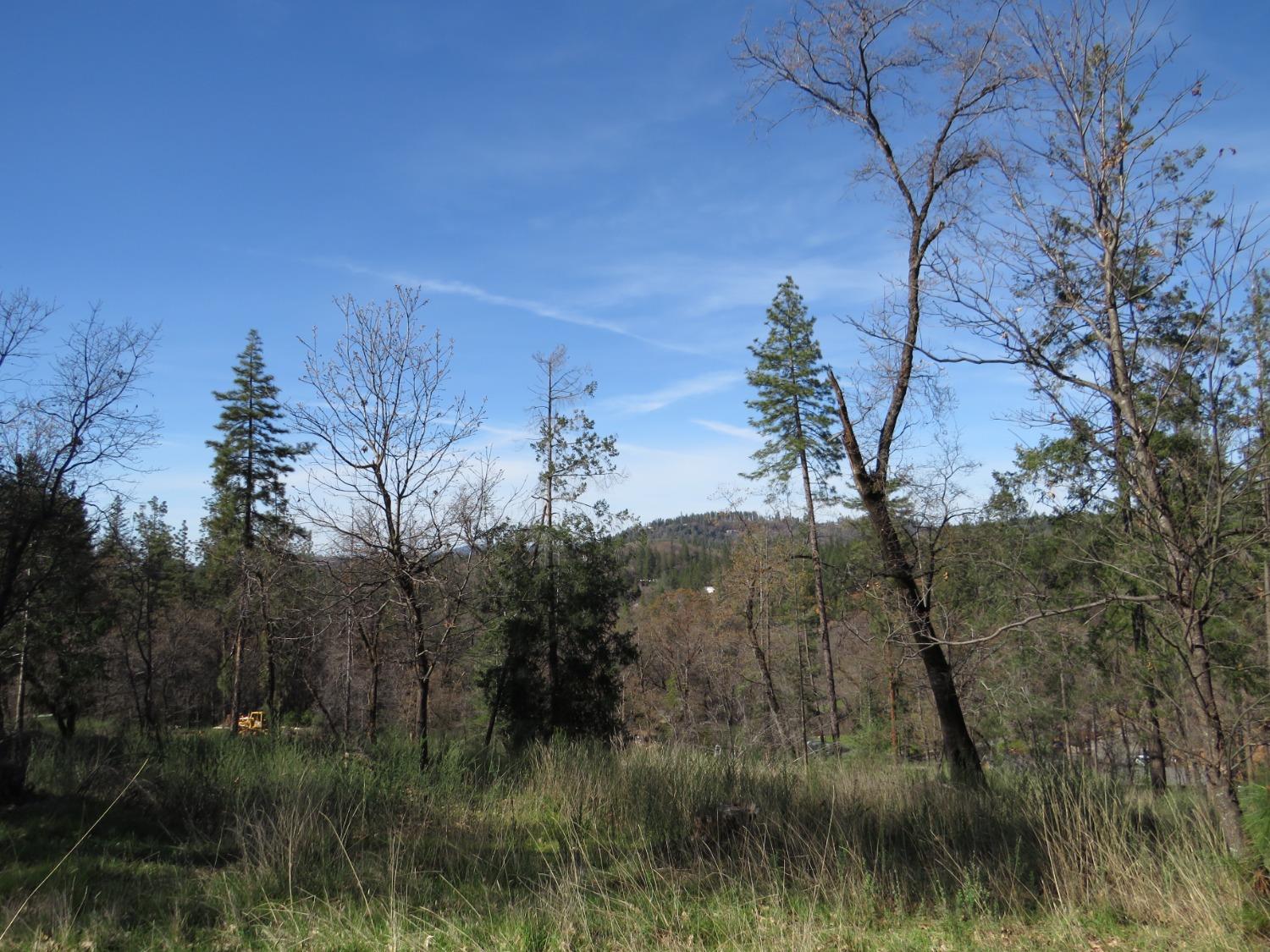 3.1 AC Barton Drive, Applegate, California image 23