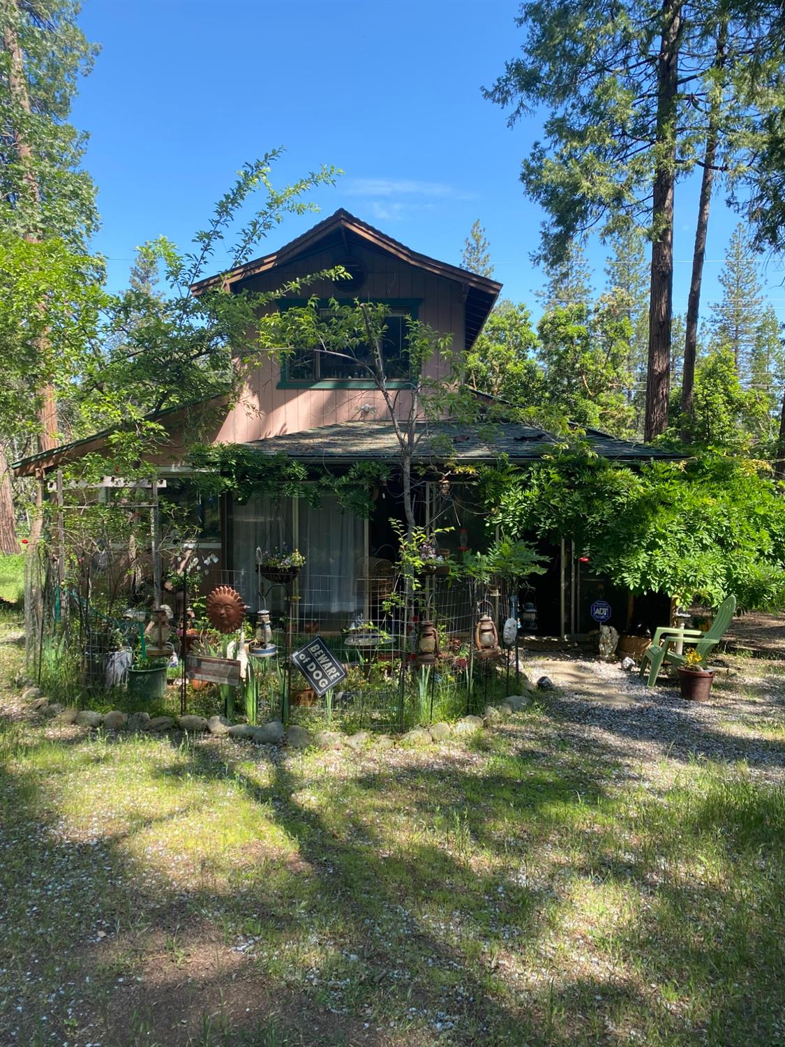 Williams Road, Pioneer, California image 3