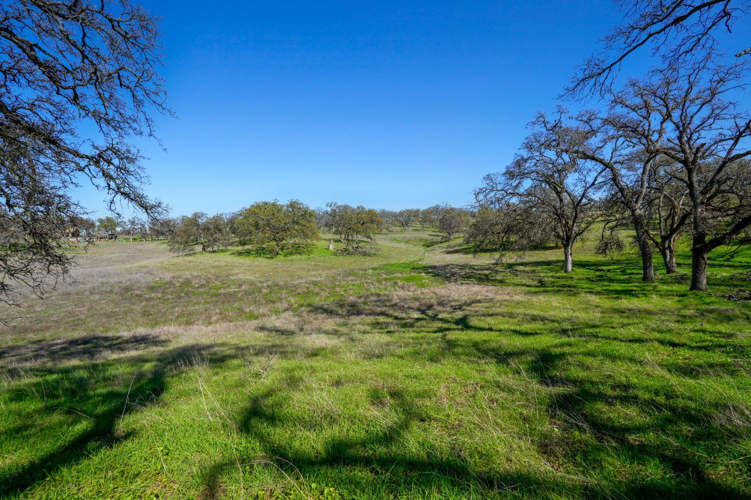 Detail Gallery Image 4 of 18 For 18700 Matthew Rd, Wheatland,  CA 95692 - – Beds | – Baths