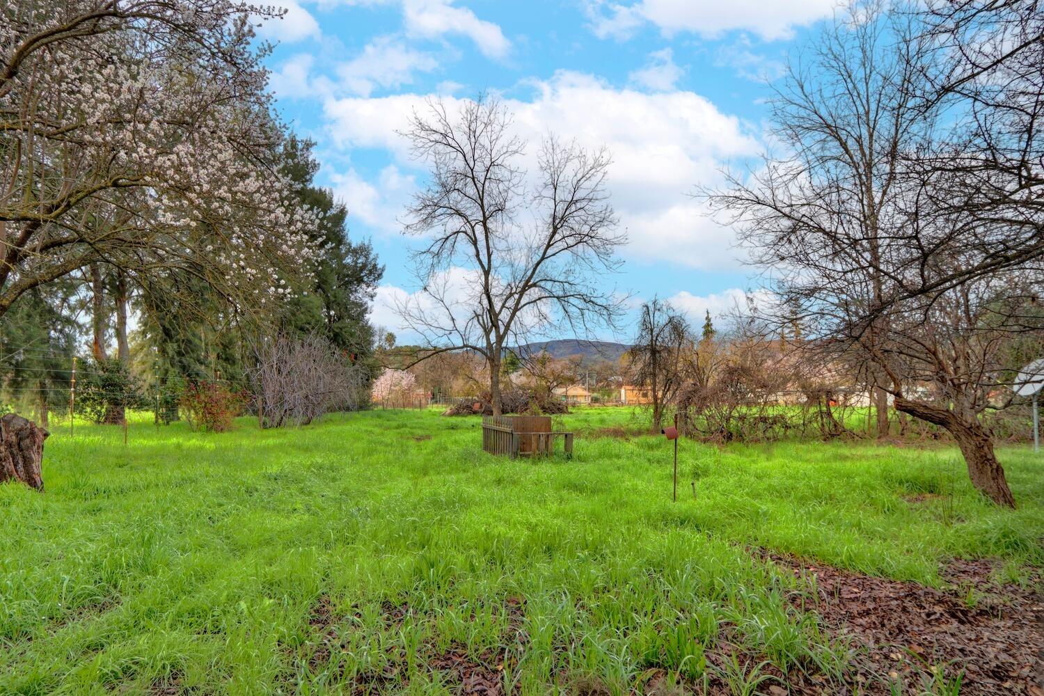 Forest Avenue, Guinda, California image 45