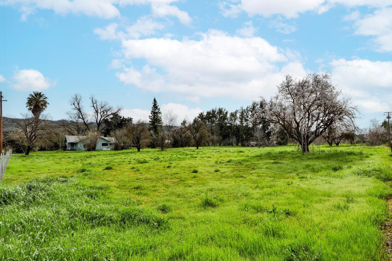 Forest Avenue, Guinda, California image 50