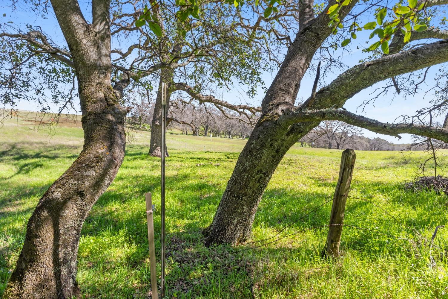 Timeless Lane, Pilot Hill, California image 15