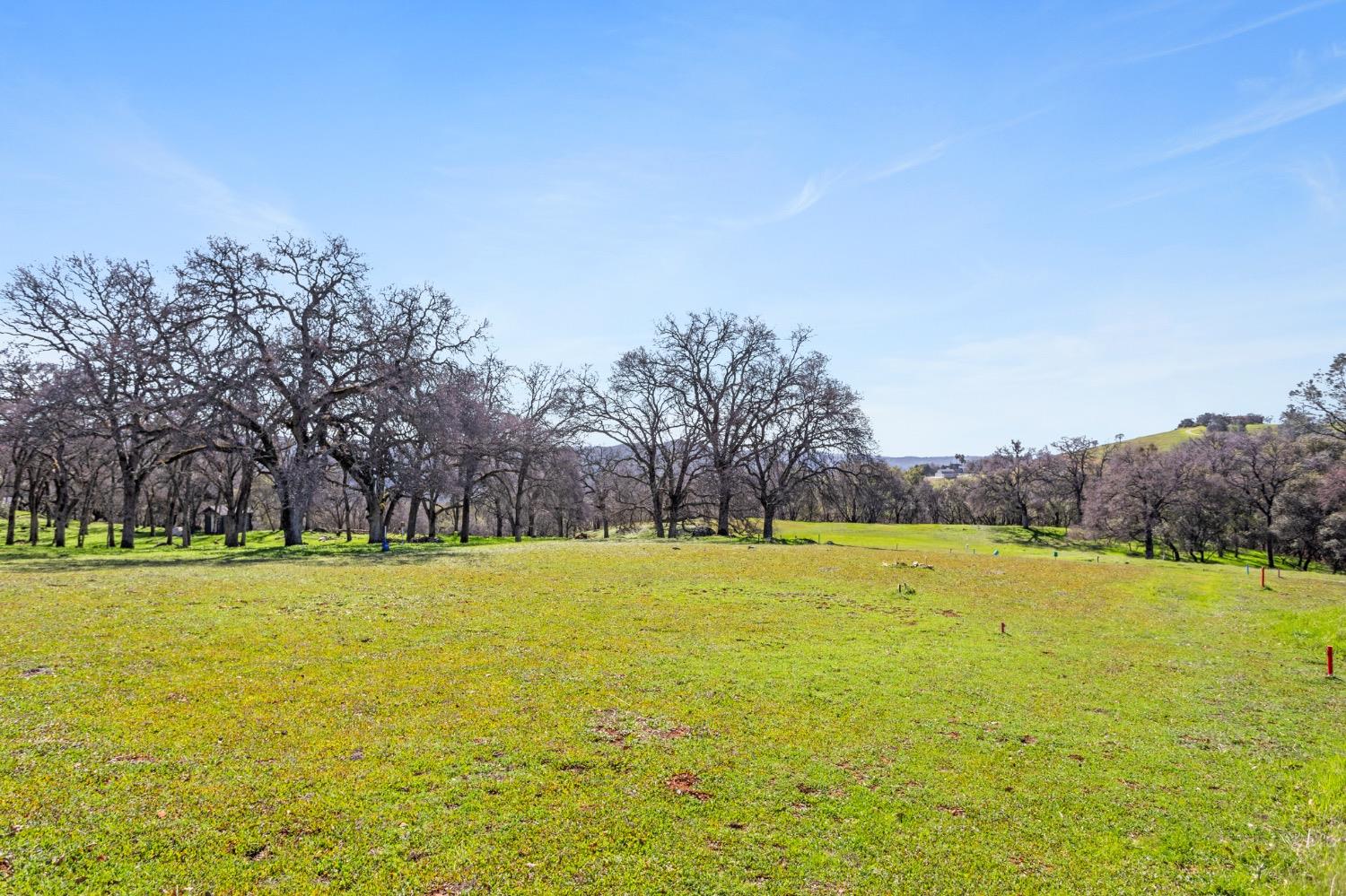 Timeless Lane, Pilot Hill, California image 9