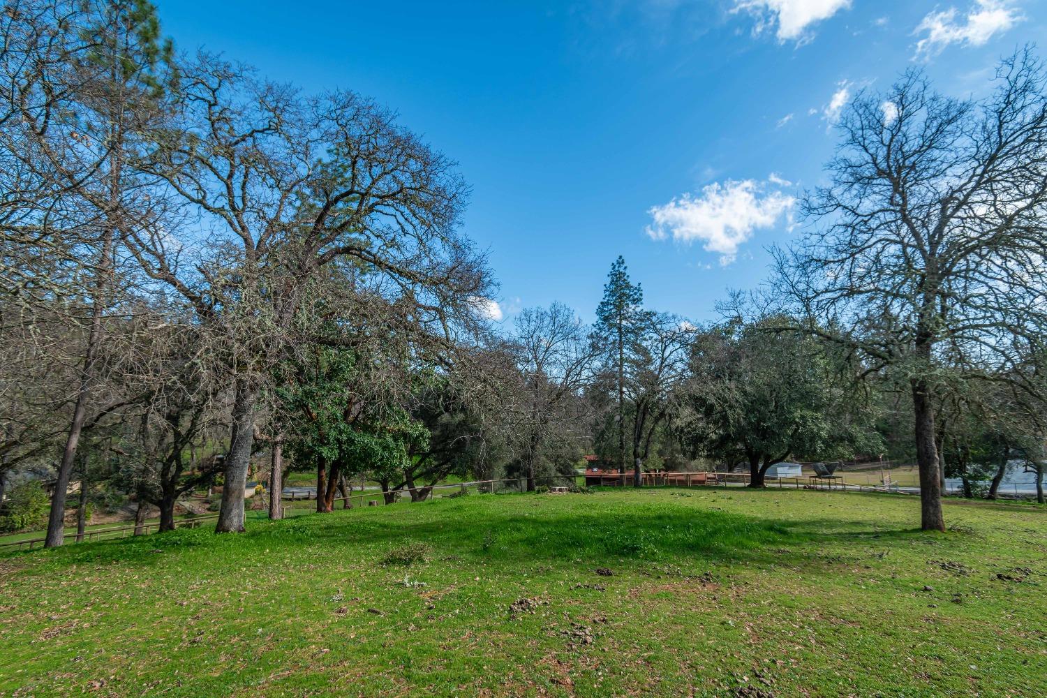 Creek Park Ranch Road, Garden Valley, California image 46