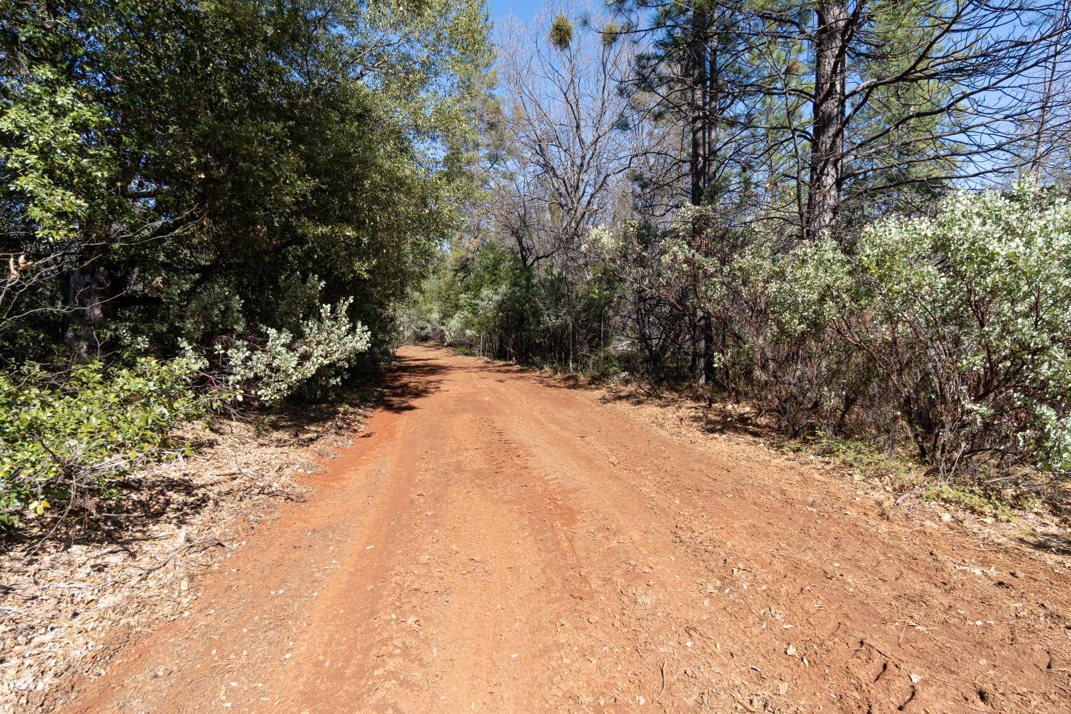 Bear Creek Road, Garden Valley, California image 30