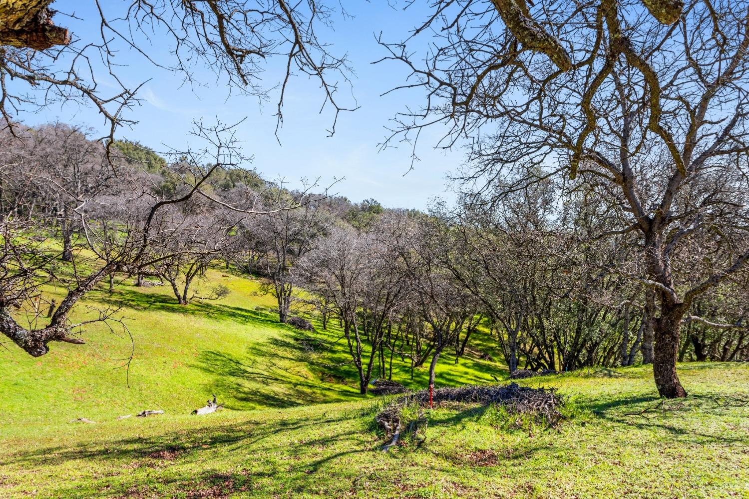 Timeless Lane, Pilot Hill, California image 18