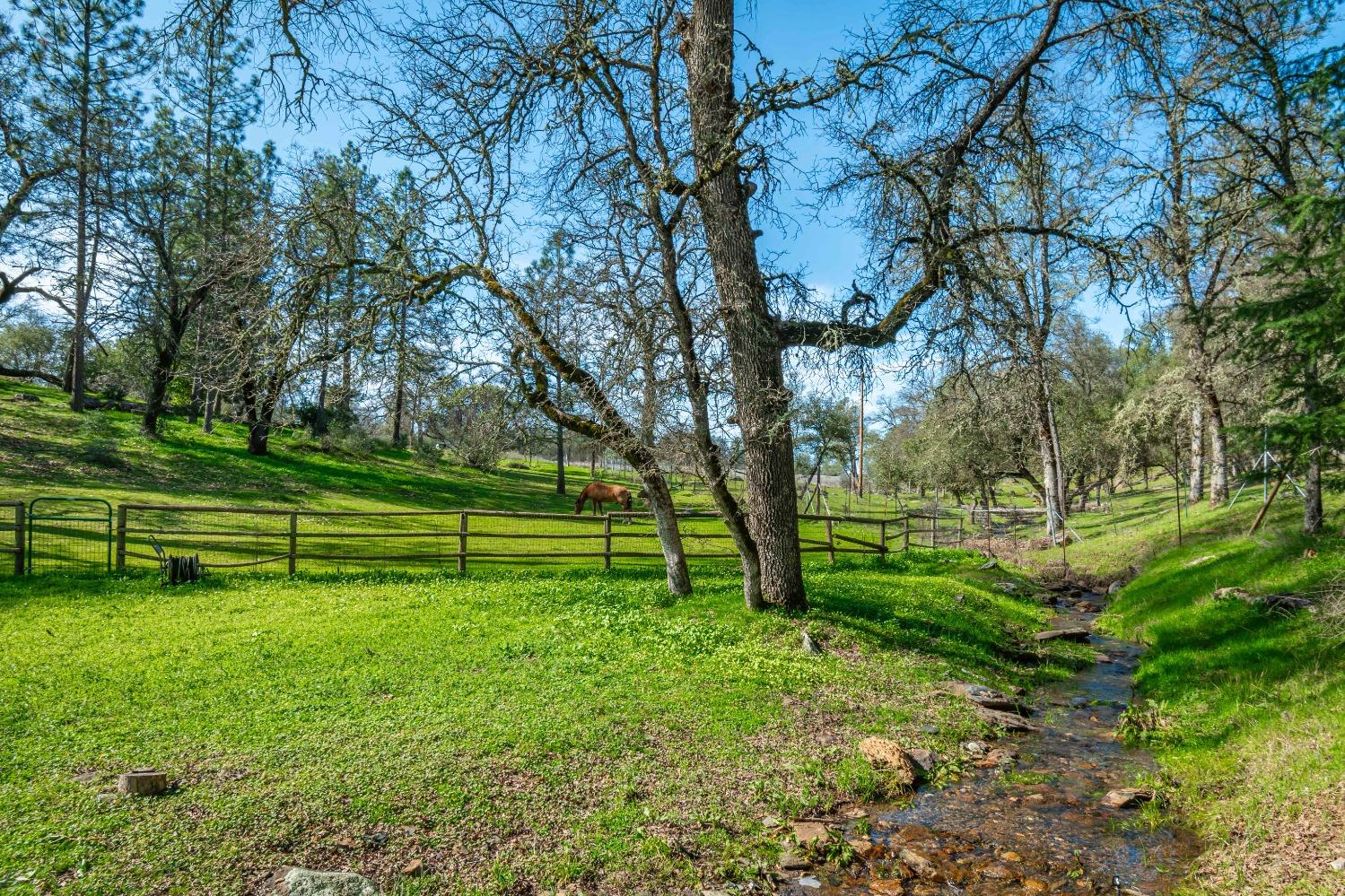 Creek Park Ranch Road, Garden Valley, California image 37