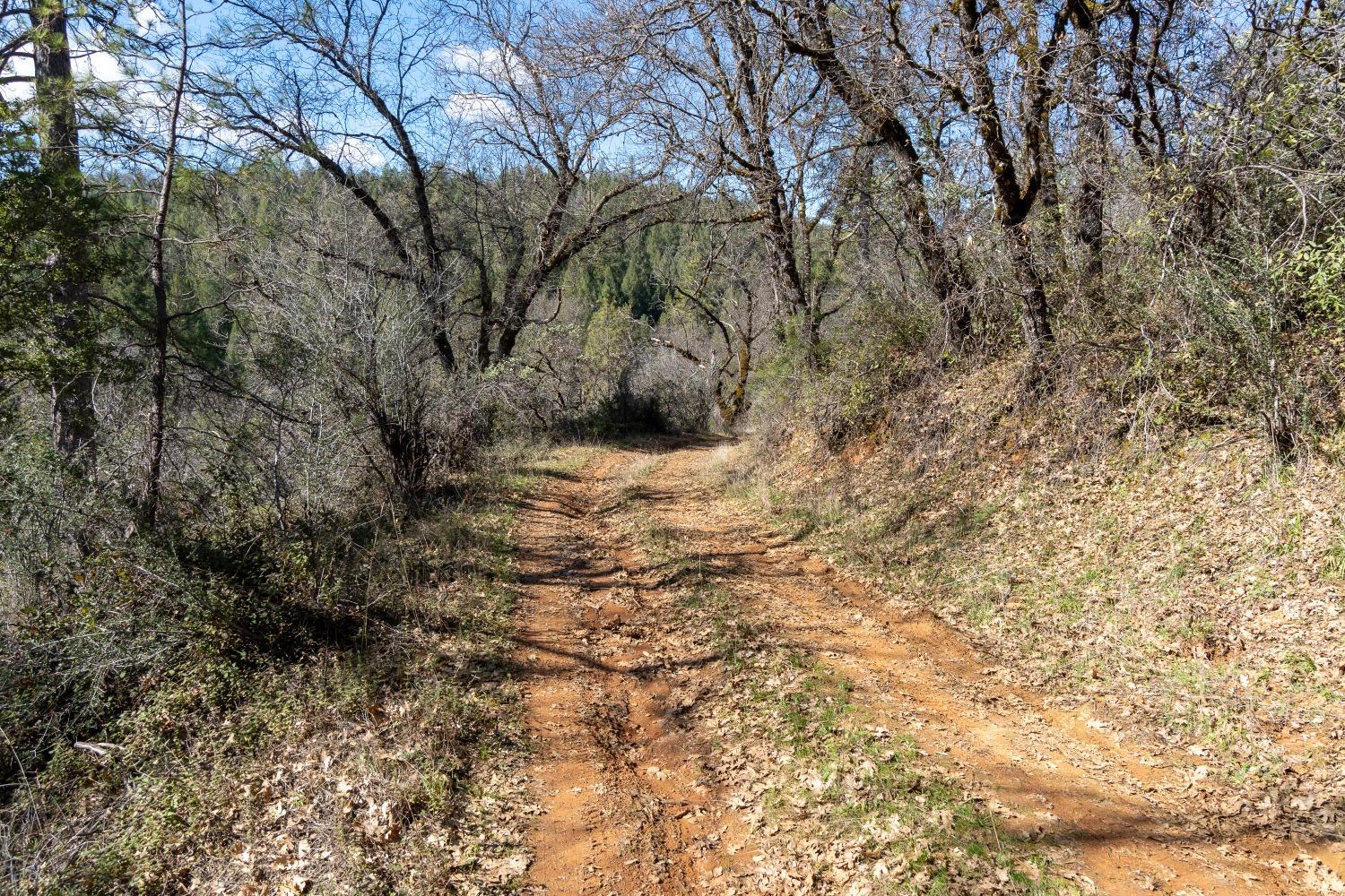 Bear Creek Road, Garden Valley, California image 23