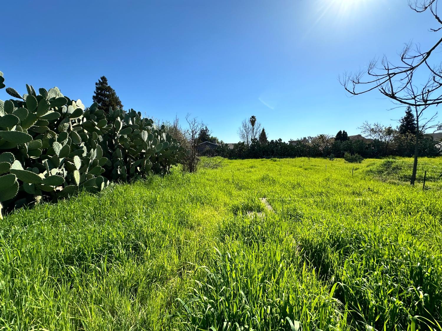 Rocky Lane, Riverbank, California image 16