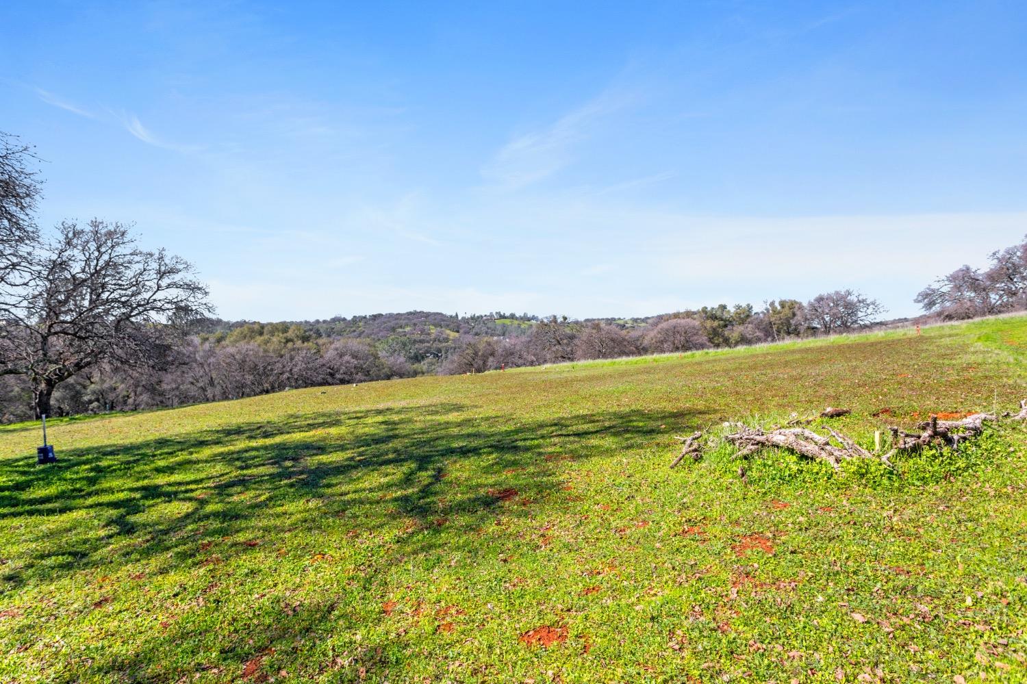 Timeless Lane, Pilot Hill, California image 10