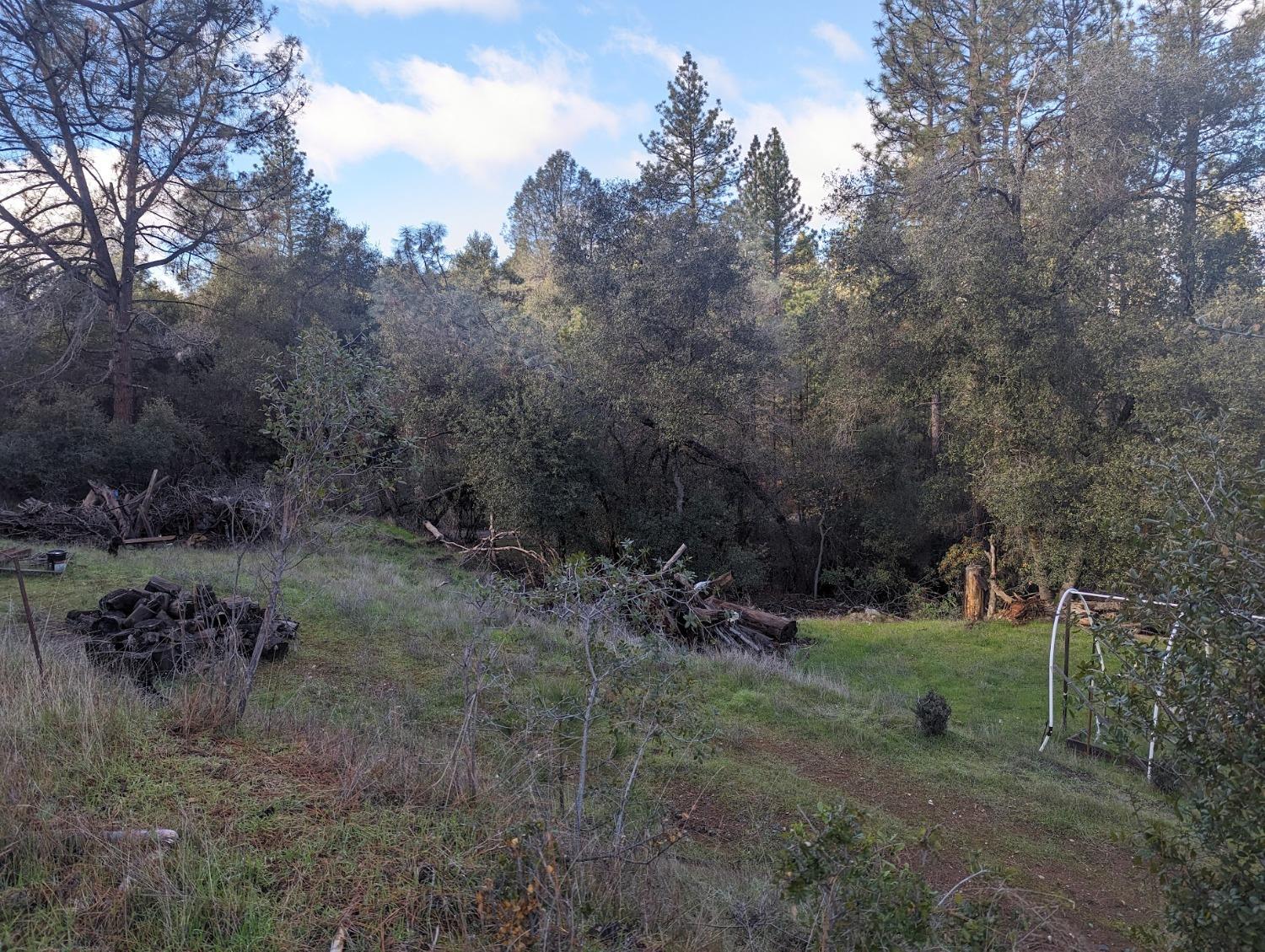 Cave City Road, Mountain Ranch, California image 6