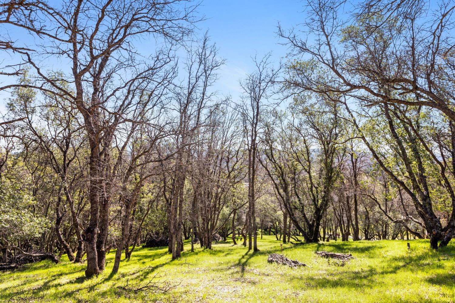 Timeless Lane, Pilot Hill, California image 20