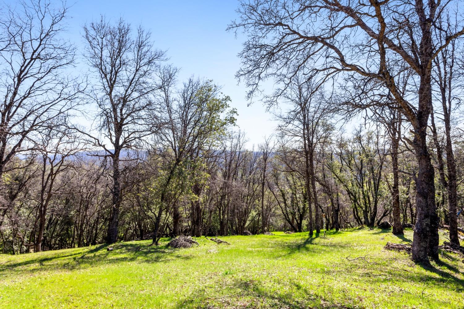 Timeless Lane, Pilot Hill, California image 19