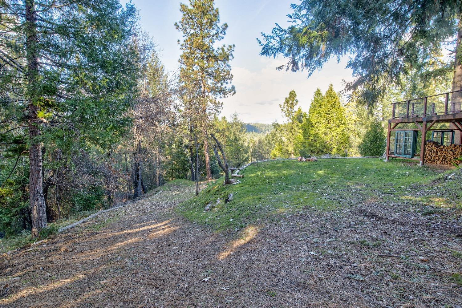 Detail Gallery Image 51 of 92 For 22301 Fiddletown Rd, Volcano,  CA 95689 - 3 Beds | 2/1 Baths
