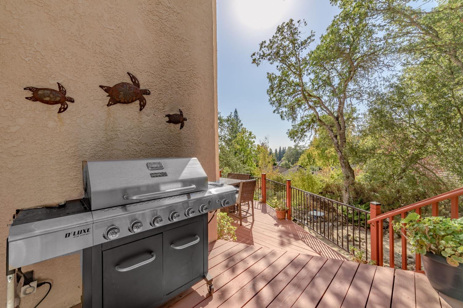 Detail Gallery Image 41 of 54 For 14753 Guadalupe Dr, Rancho Murieta,  CA 95683 - 4 Beds | 2/1 Baths