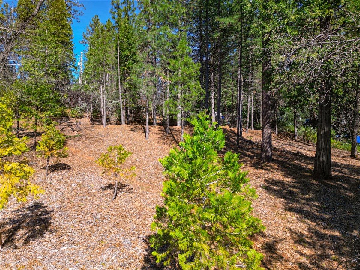 Chinook Lane, Grass Valley, California image 9