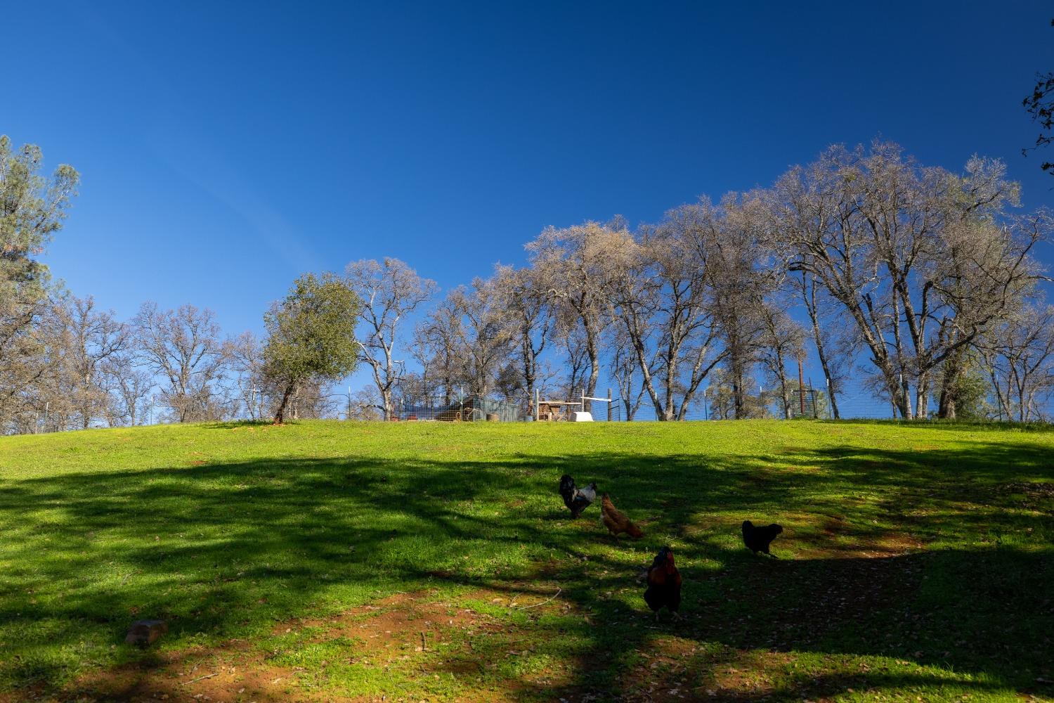 Los Verjeles Rd, Bangor, California image 3