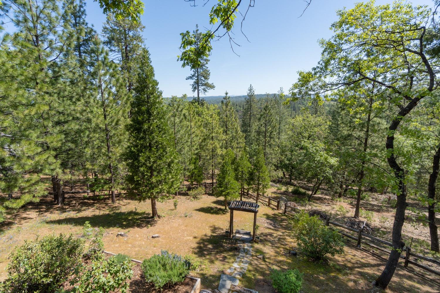 Detail Gallery Image 36 of 42 For 21130 Vista Amorosa Ct, Pine Grove,  CA 95665 - 4 Beds | 2/1 Baths