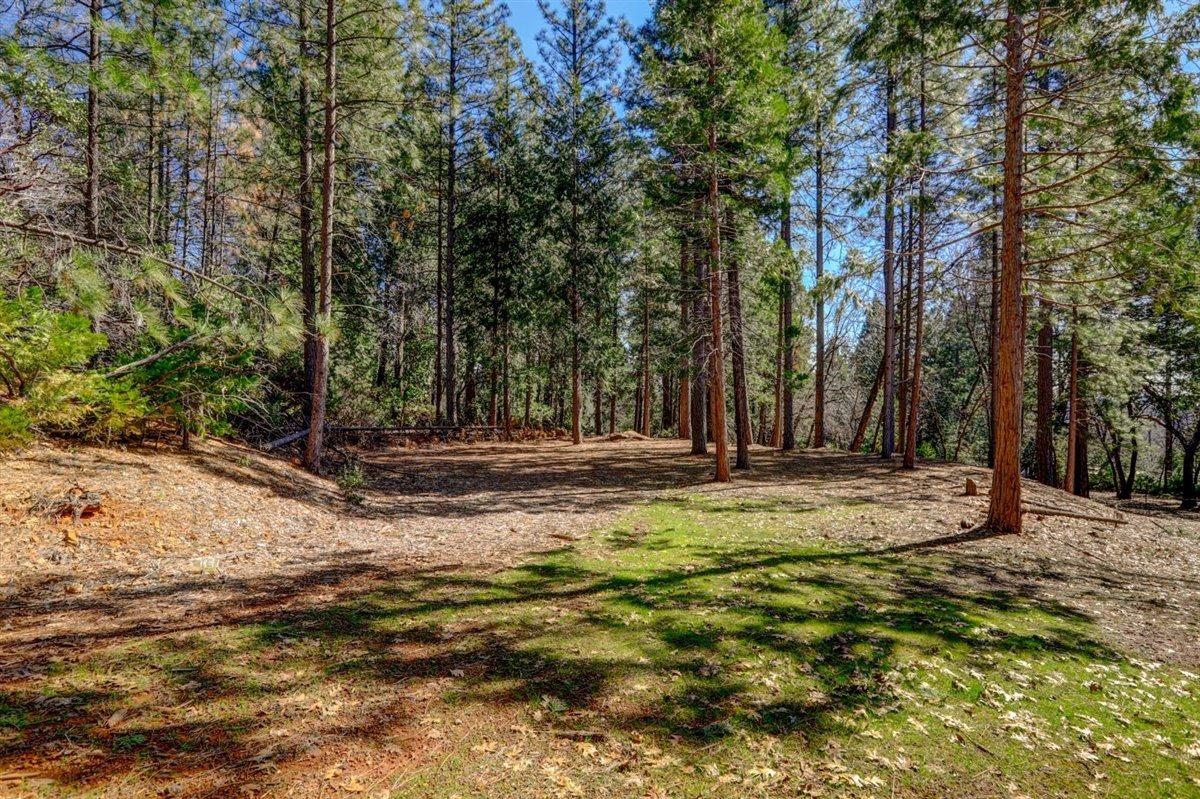 Photo of 15196 Chinook Ln in Grass Valley, CA