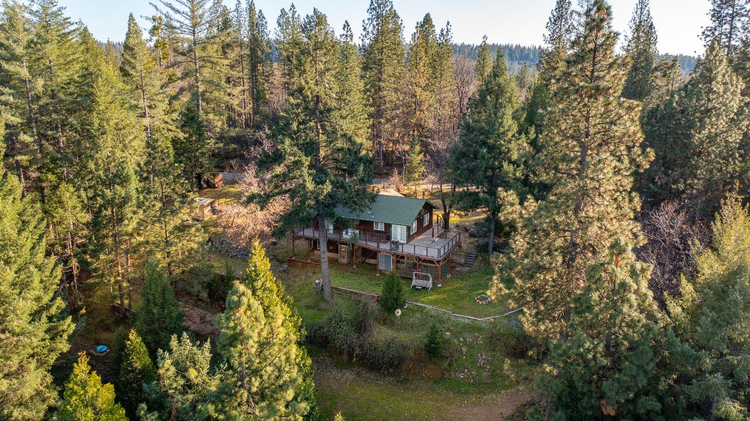 Detail Gallery Image 82 of 92 For 22301 Fiddletown Rd, Volcano,  CA 95689 - 3 Beds | 2/1 Baths
