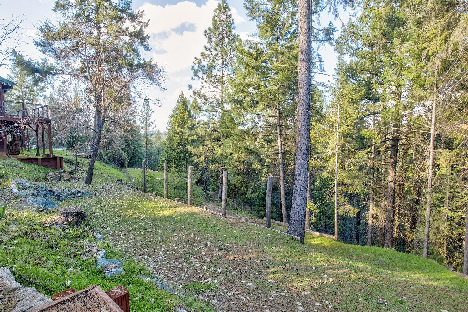 Detail Gallery Image 75 of 92 For 22301 Fiddletown Rd, Volcano,  CA 95689 - 3 Beds | 2/1 Baths