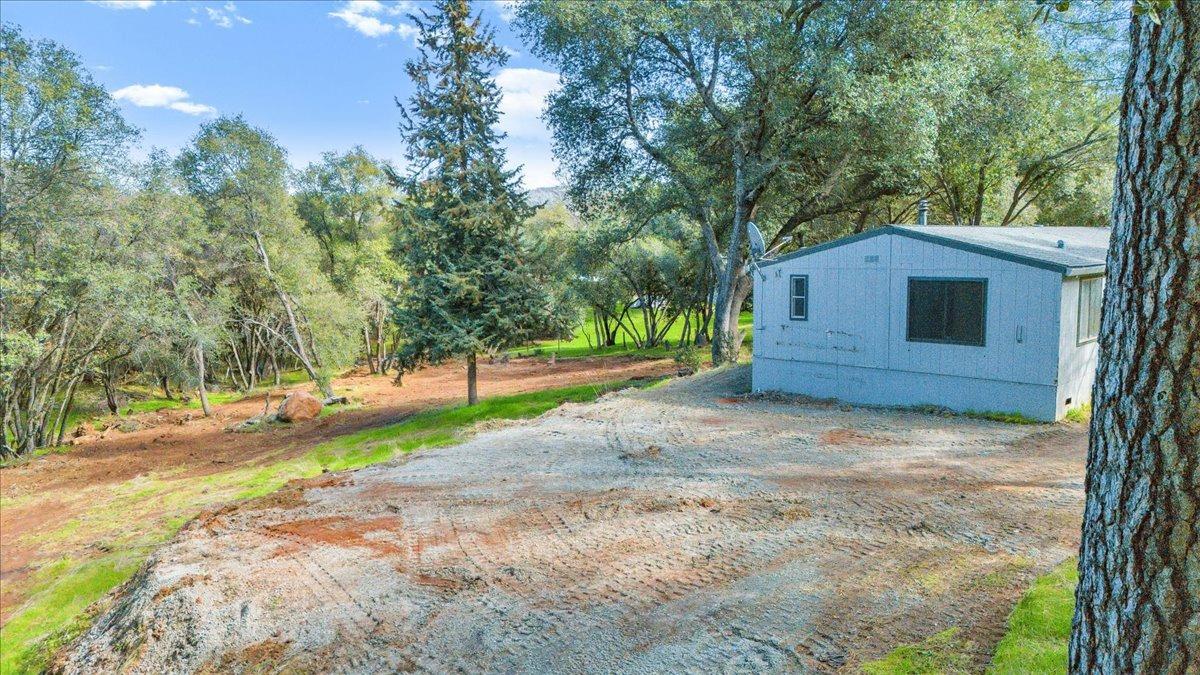 Lupine Lane, Sonora, California image 45