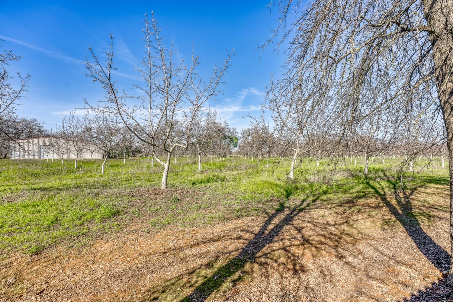 Hudson Way, Wheatland, California image 29