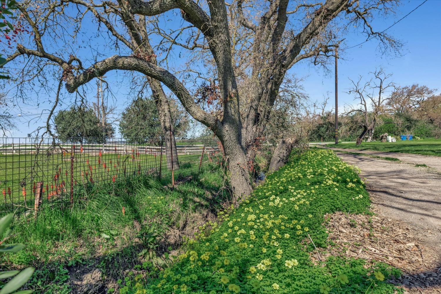 E San Martin Avenue, San Martin, California image 37