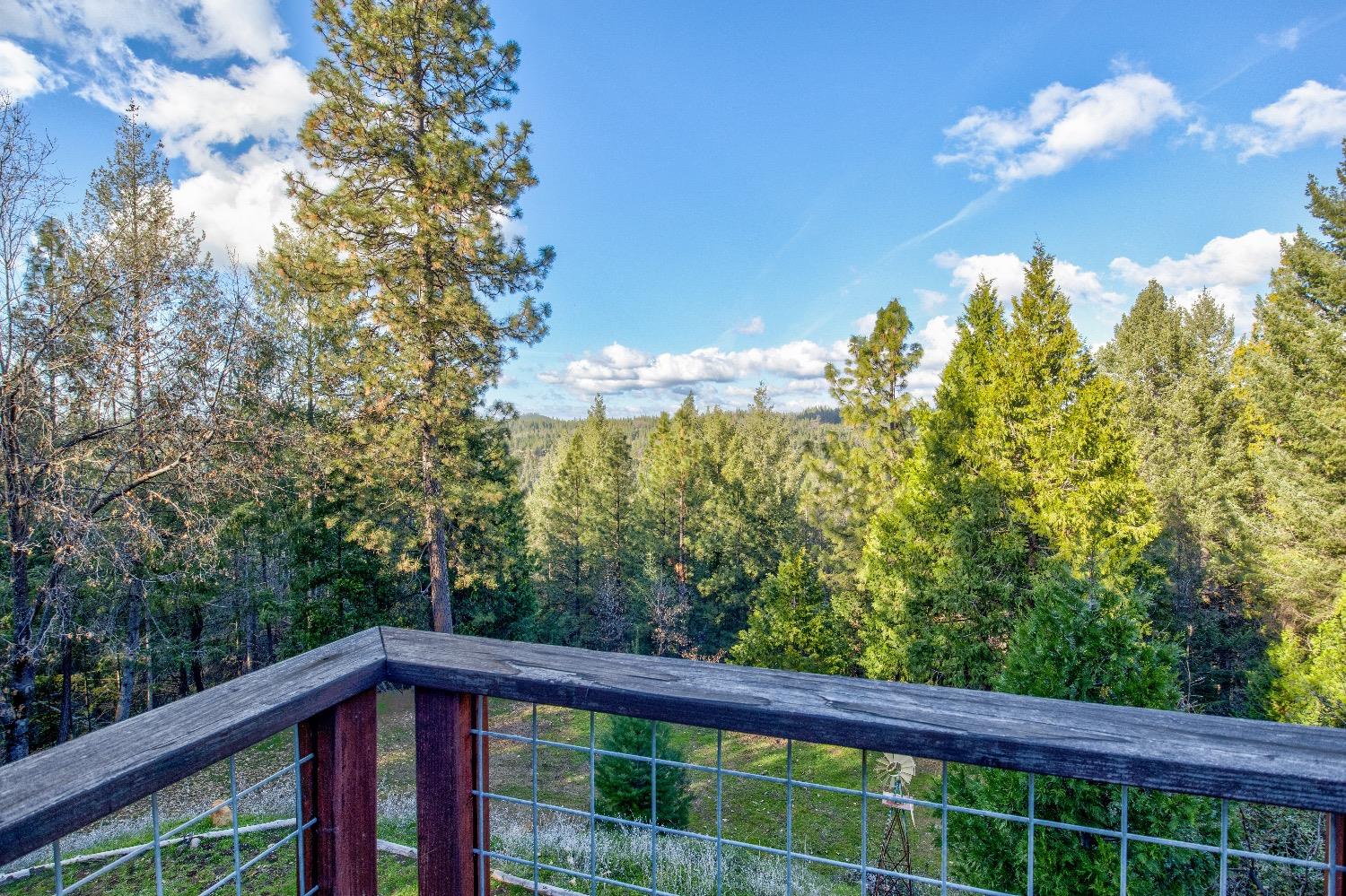 Detail Gallery Image 45 of 92 For 22301 Fiddletown Rd, Volcano,  CA 95689 - 3 Beds | 2/1 Baths