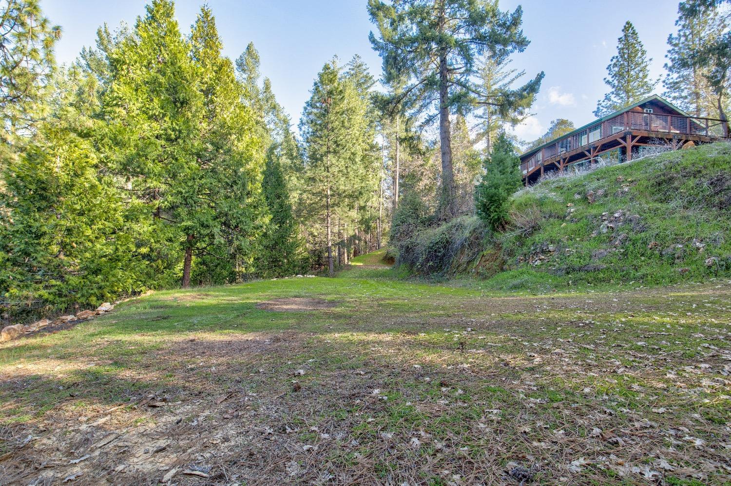 Detail Gallery Image 81 of 92 For 22301 Fiddletown Rd, Volcano,  CA 95689 - 3 Beds | 2/1 Baths