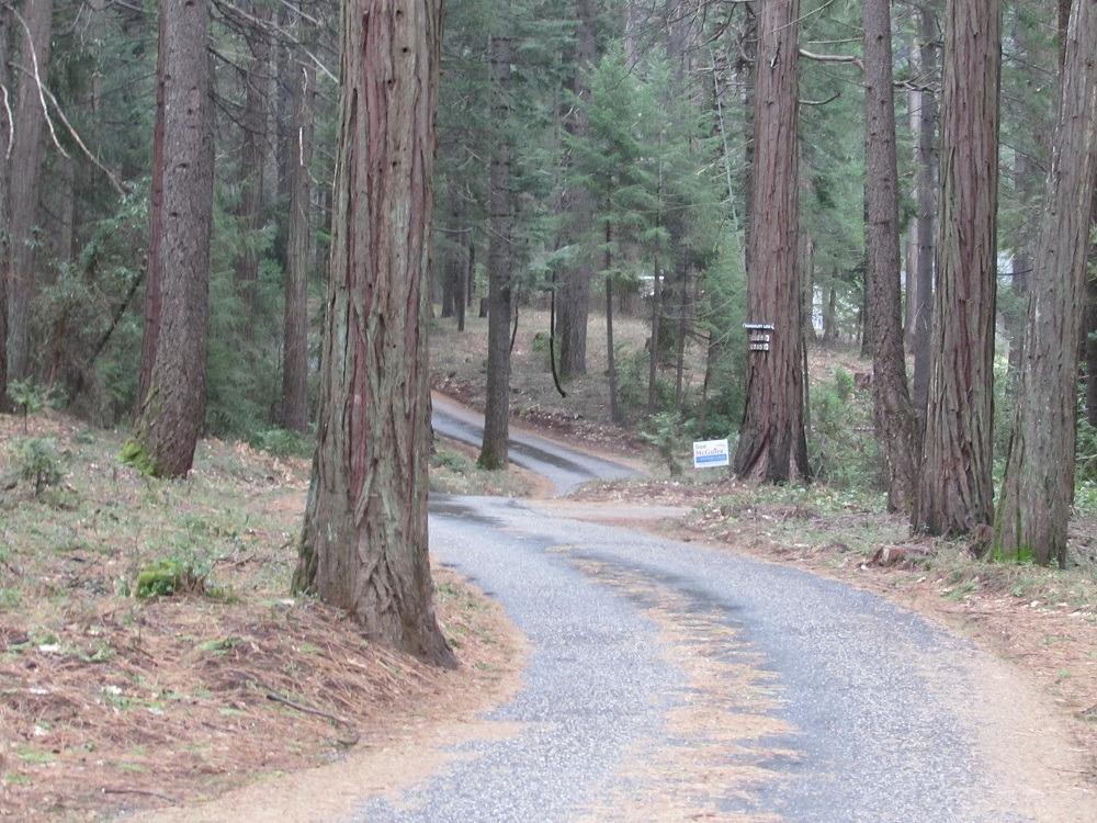 Idaho Maryland Road, Nevada City, California image 5