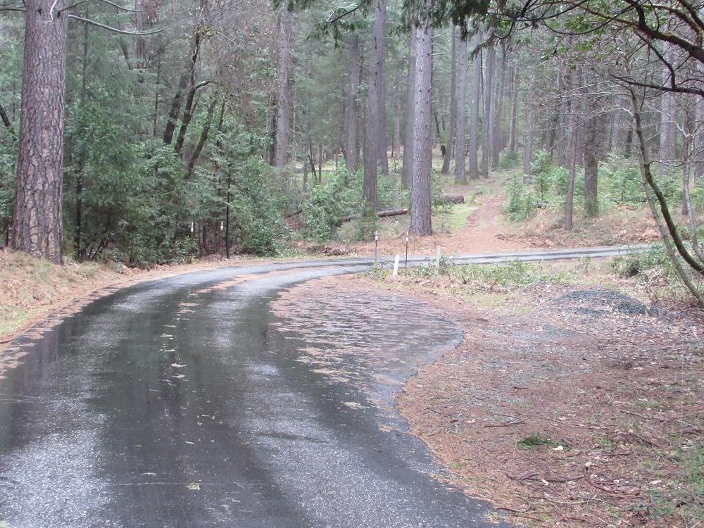 Idaho Maryland Road, Nevada City, California image 9