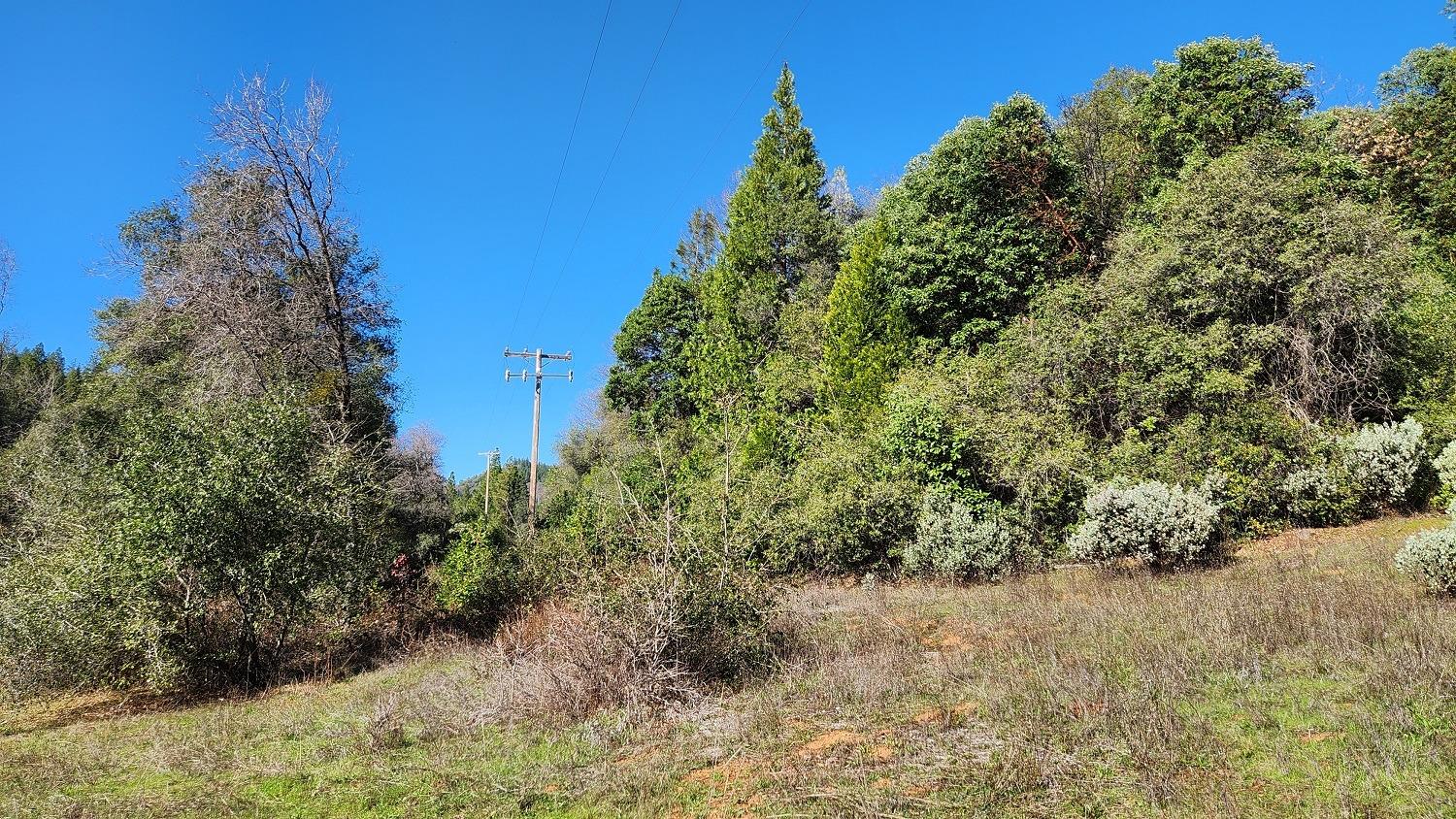 006 Merriam Road, Dobbins, California image 22