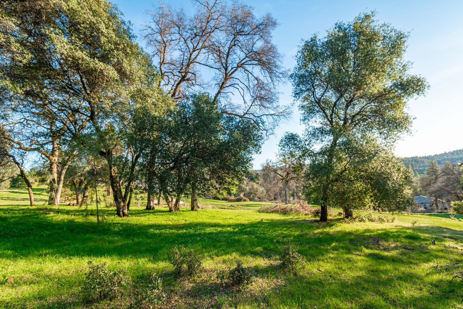 Lot 134 Darkhorse Drive, Auburn, California image 2