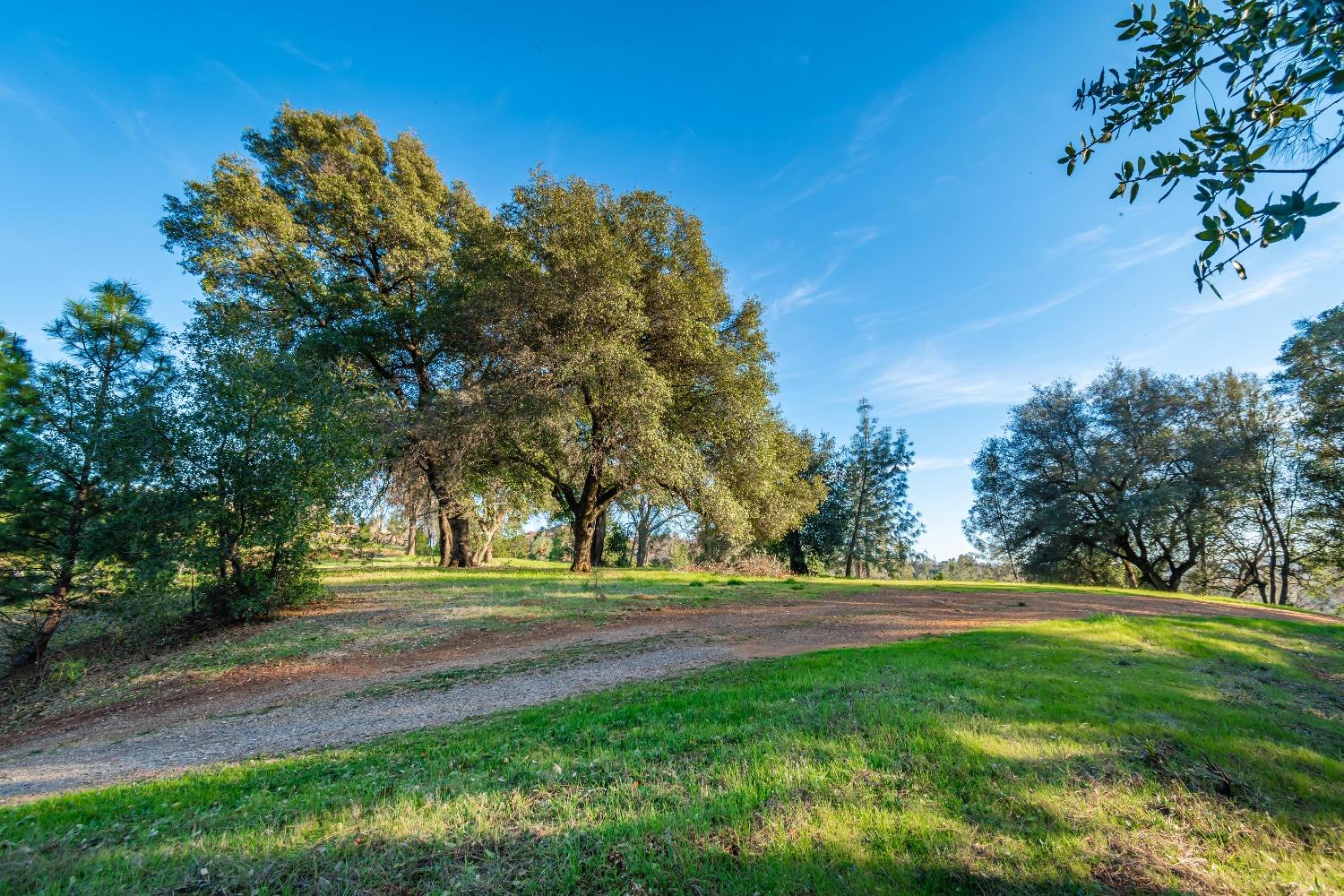 Lot 134 Darkhorse Drive, Auburn, California image 7