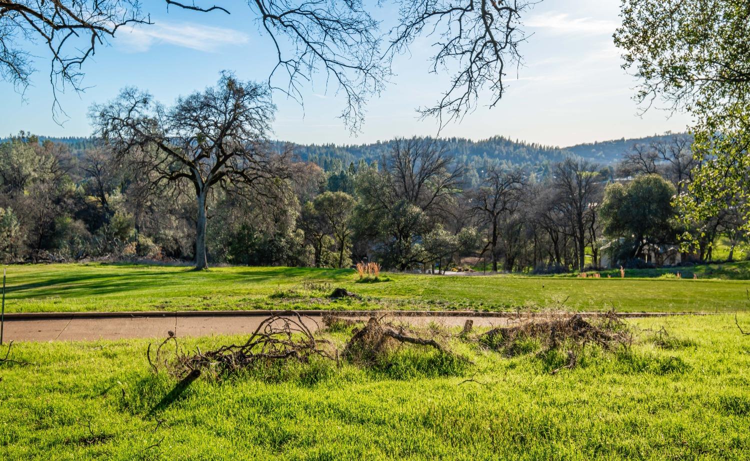 Lot 134 Darkhorse Drive, Auburn, California image 4