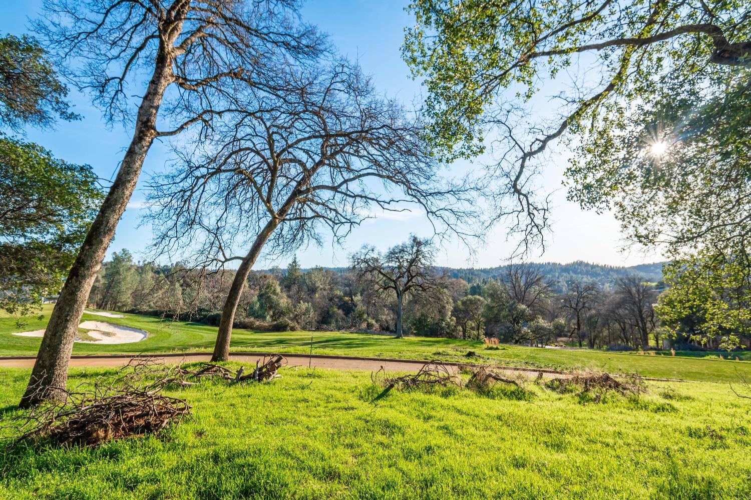 Lot 134 Darkhorse Drive, Auburn, California image 3