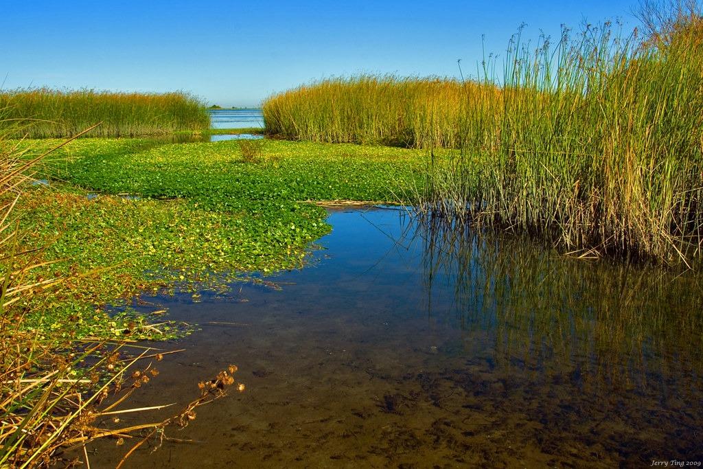 Delta Meadows Way, Oakley, California image 3