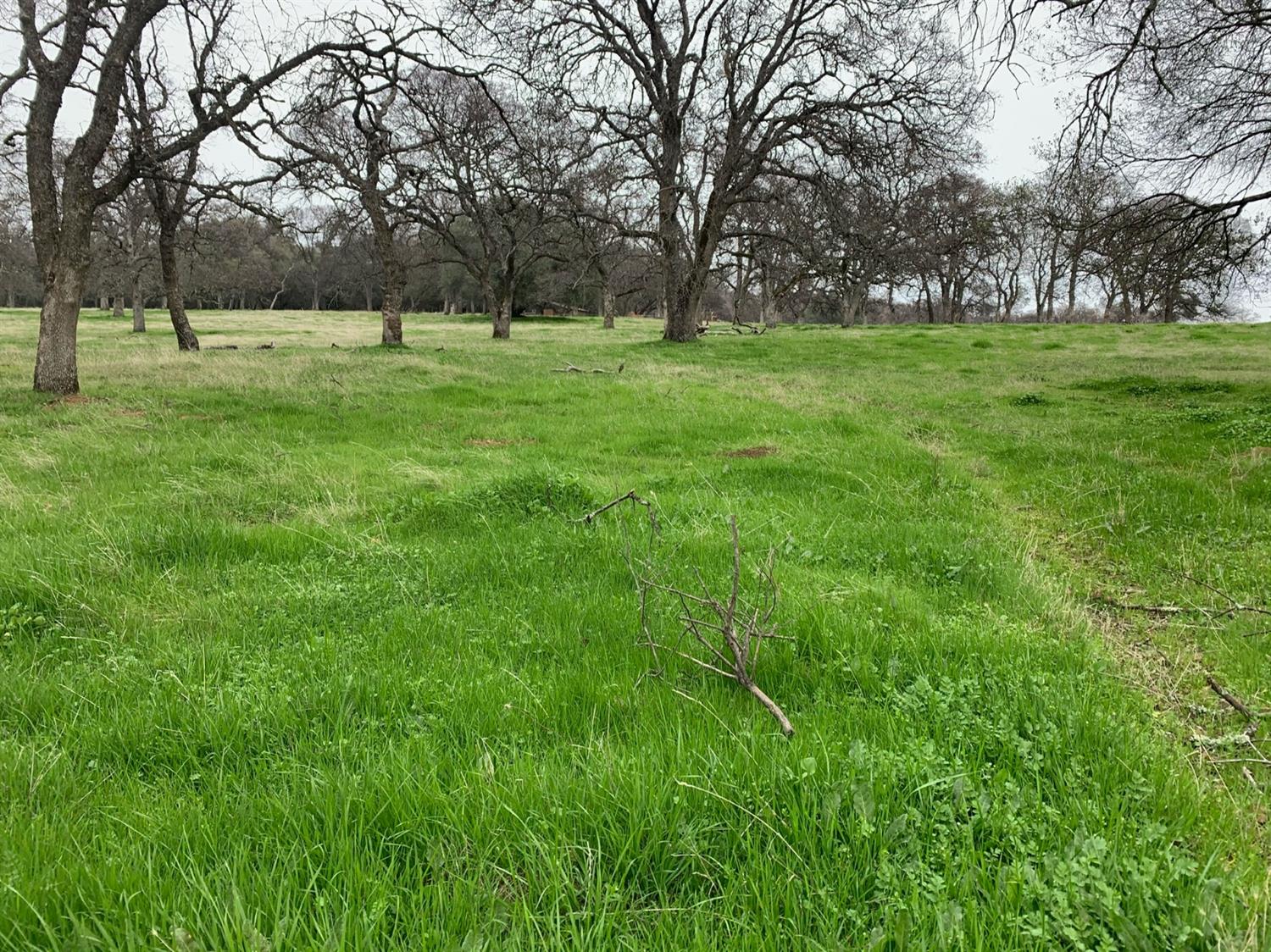 Dry Creek Lane, Browns Valley, California image 19