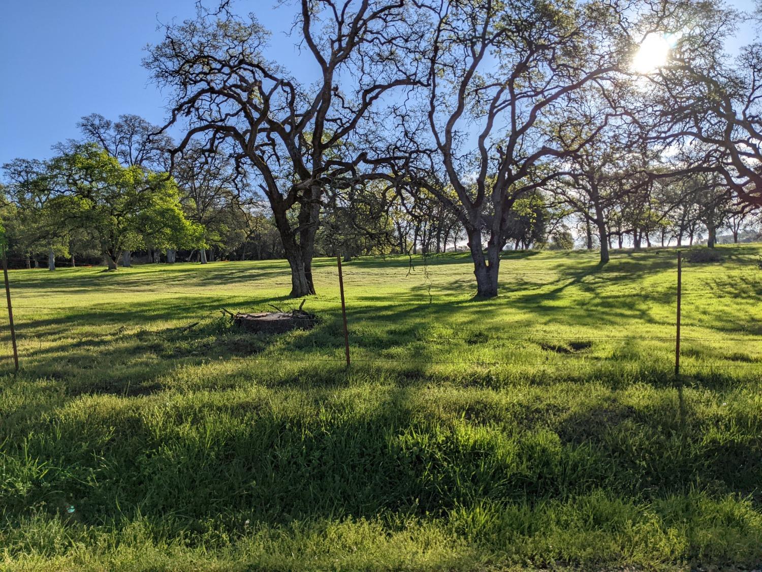 Dry Creek Lane, Browns Valley, California image 25