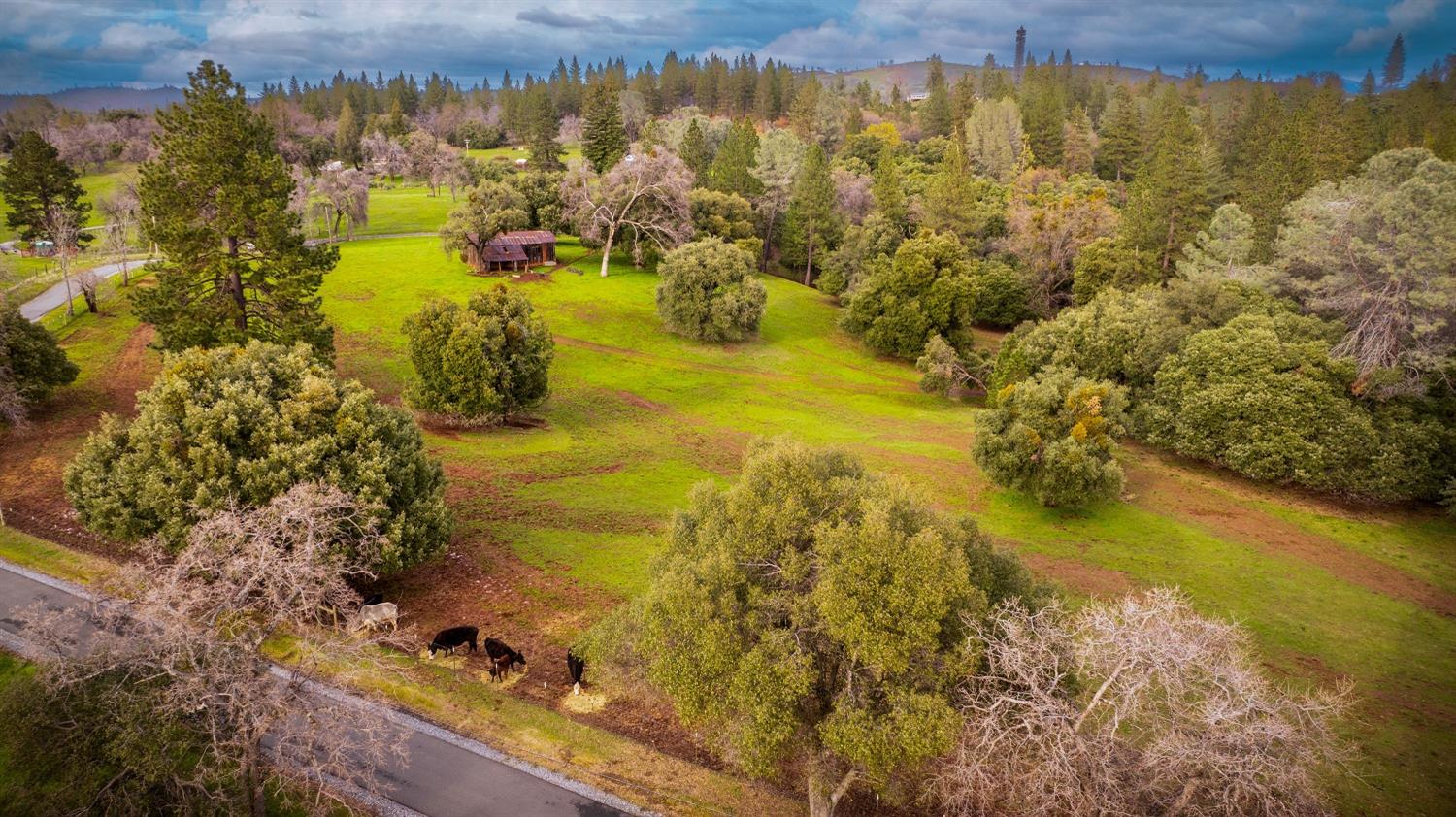 Detail Gallery Image 79 of 85 For 15660 Jesus Maria Rd, Mokelumne Hill,  CA 95245 - – Beds | – Baths