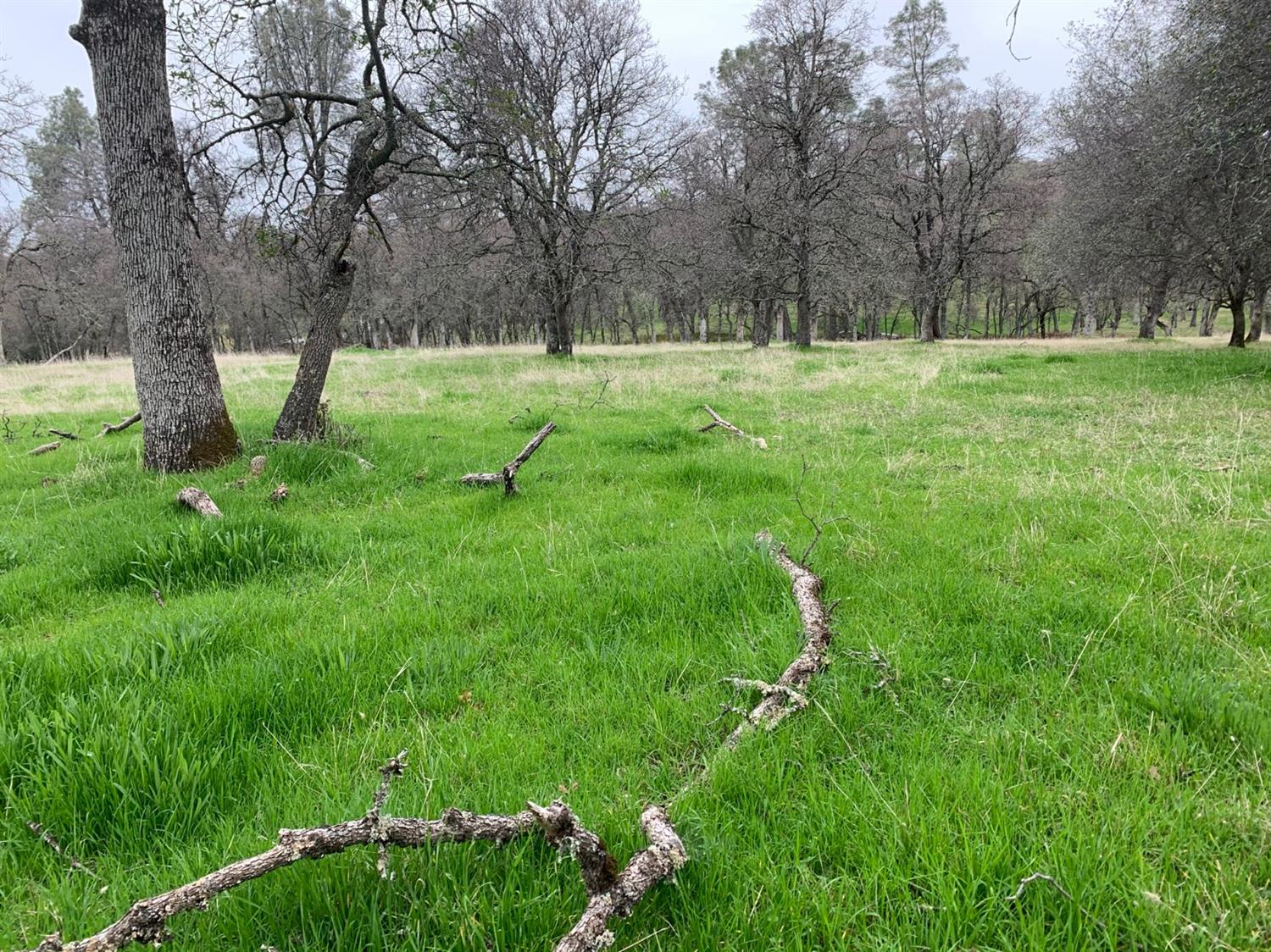 Dry Creek Lane, Browns Valley, California image 17