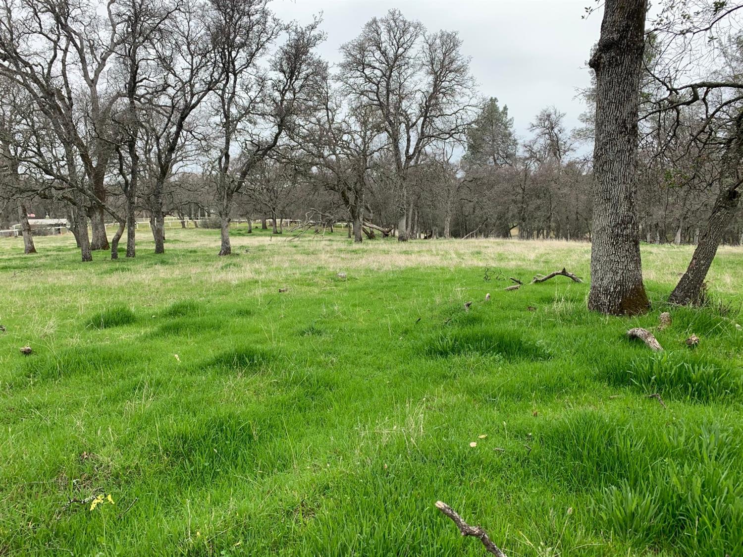 Dry Creek Lane, Browns Valley, California image 18