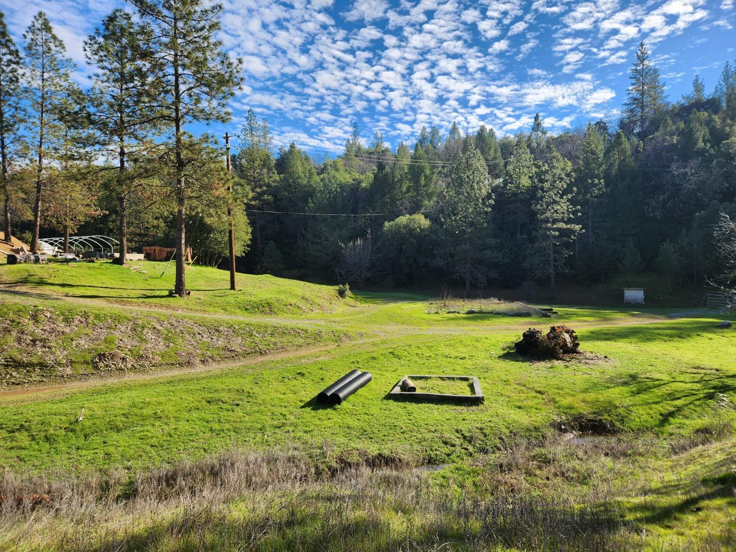 Zdolsek Place, Greenwood, California image 4