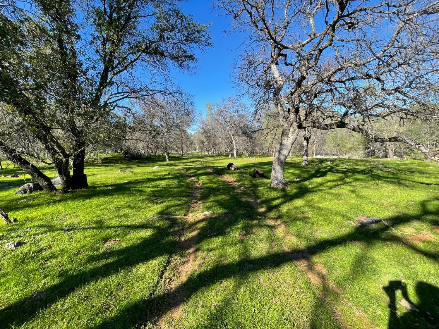 Detail Gallery Image 14 of 21 For 0 Airola Road, Vallecito,  CA 95251 - – Beds | – Baths