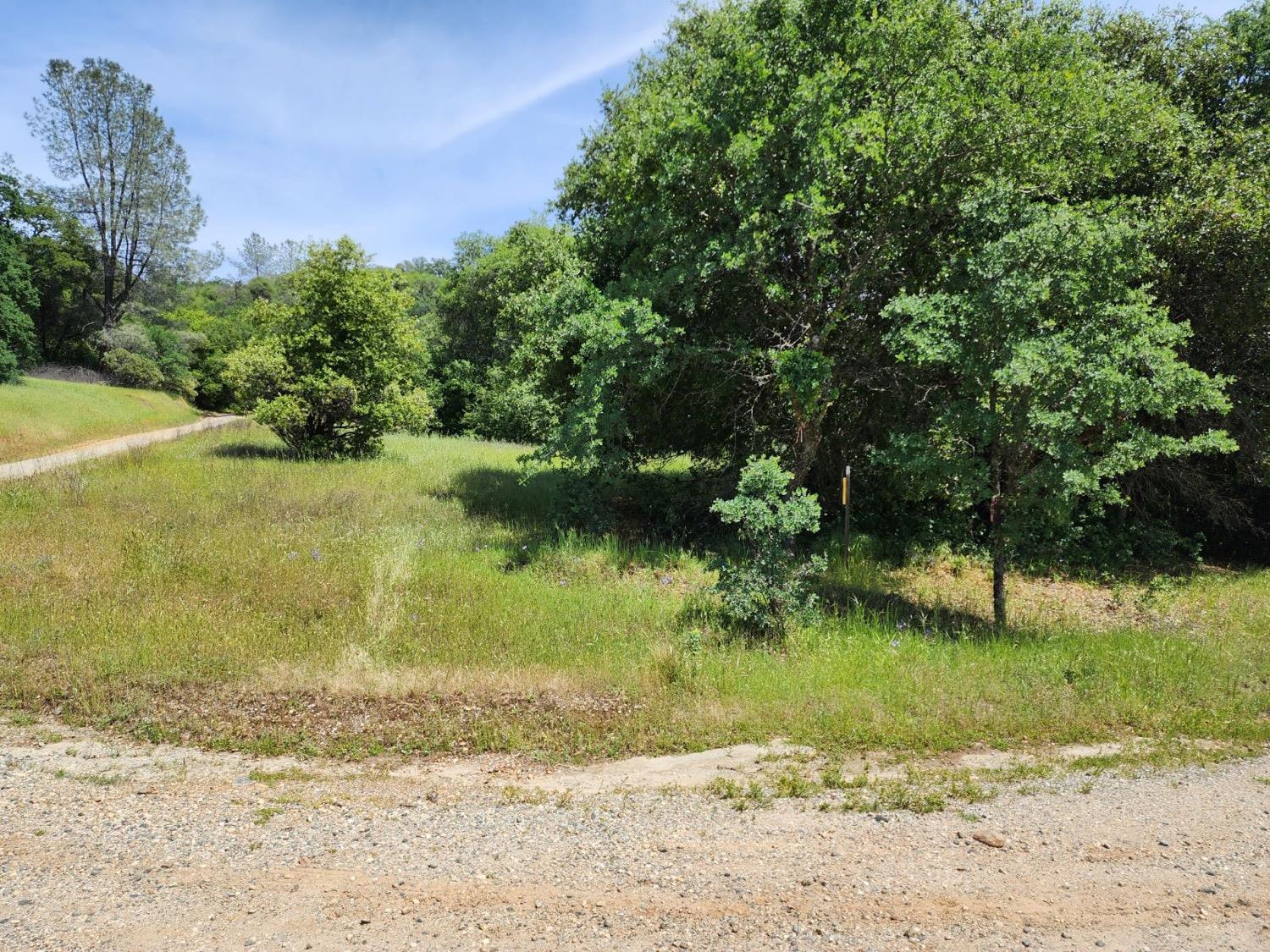 Rices Crossing Road, North San Juan, California image 9