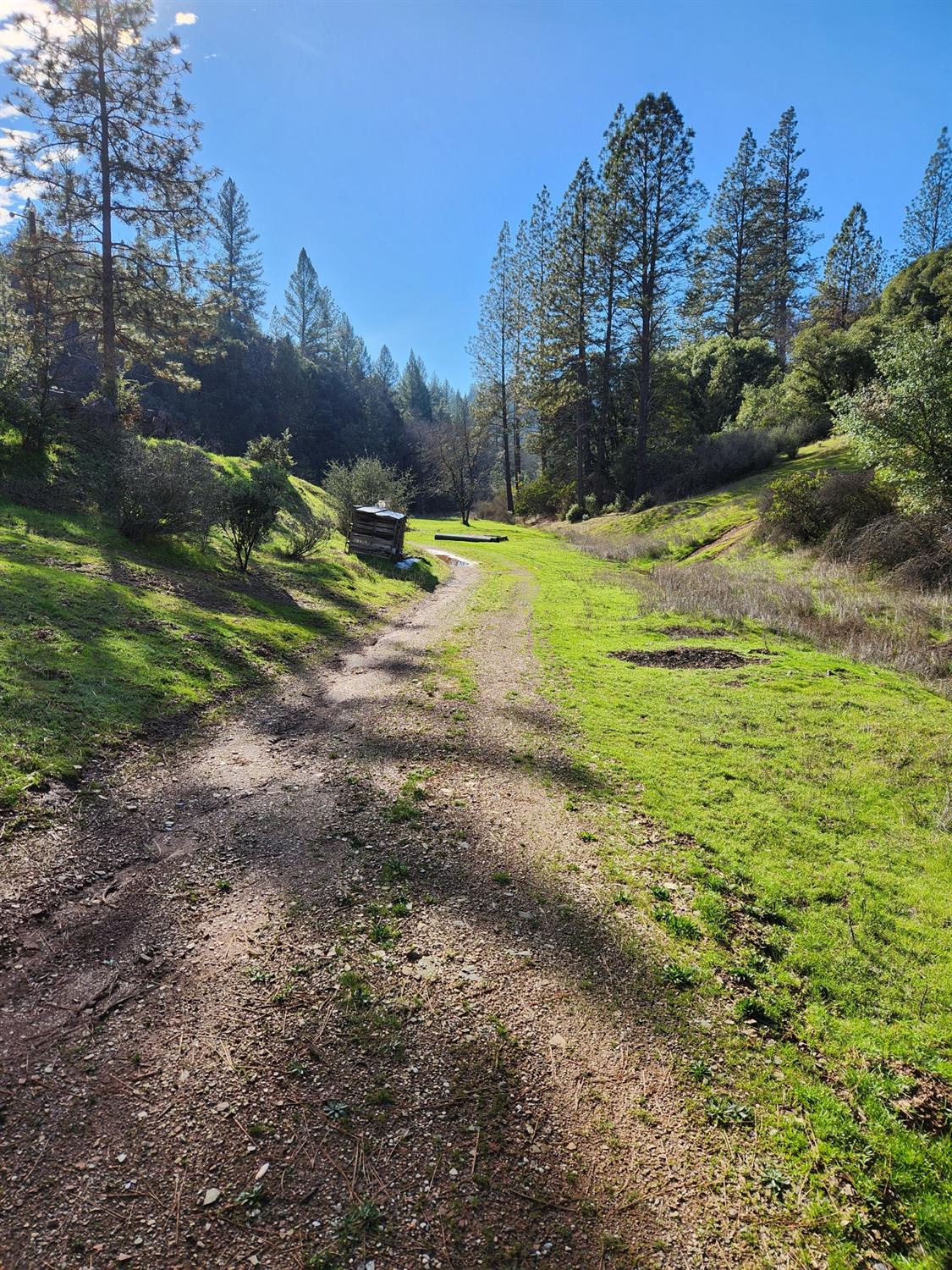 Zdolsek Place, Greenwood, California image 11